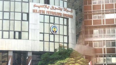 مجلس الدولة: