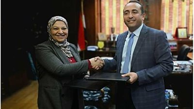 1.7 مليار جنيه لإنشاء خط بطول 195 كم لتفريغ القدرة المولدة من مجمع بنبان