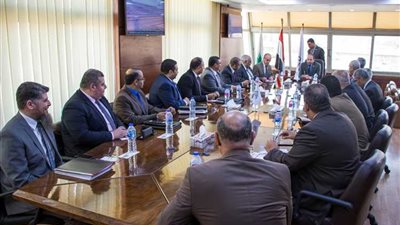 «غاز مصر» تسجل أول وأعلى مشاركة خارجية للتصويت على تعديلات الدستور