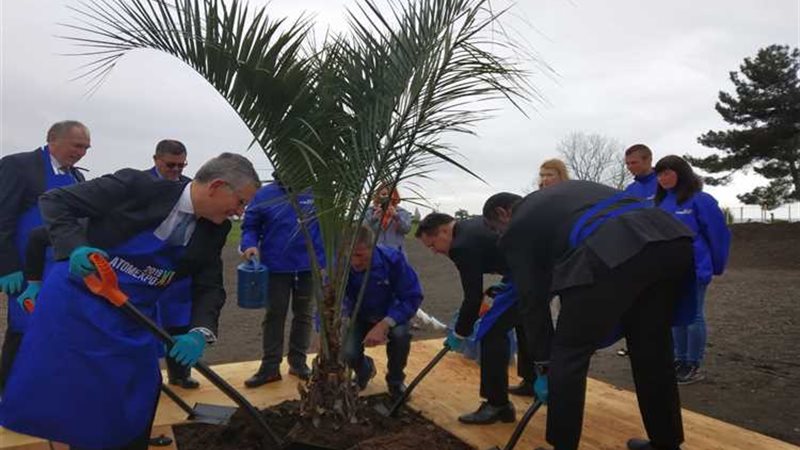 عالم الطاقة