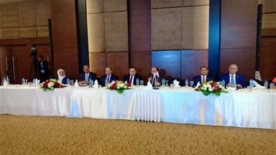 بدء فاعليات جلسة تقييم الآثر البيئي لمشروع إنتاج البروبيلين والبولي بروبيلين بـ«سيدبك».. والقصبي يطلب الوقوف دقيقة حداد على أرواح الشهداء