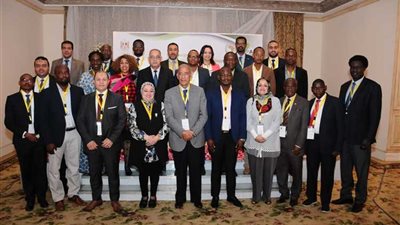 مها مصطفى تفتتح أعمال ورشة تدريبية خاصة بمشروعات الطاقة المتجددة وشبكات الكهرباء بالدول الأفريقية