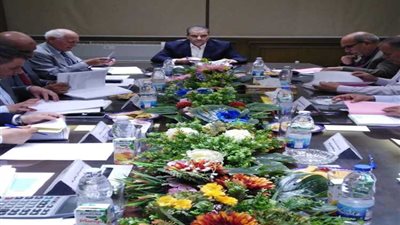 برئاسة شمعه..مجلس إدارة مصر الوسطى للكهرباء يعتمد قرارات ترقية المرشحين لتولى الوظائف القيادية