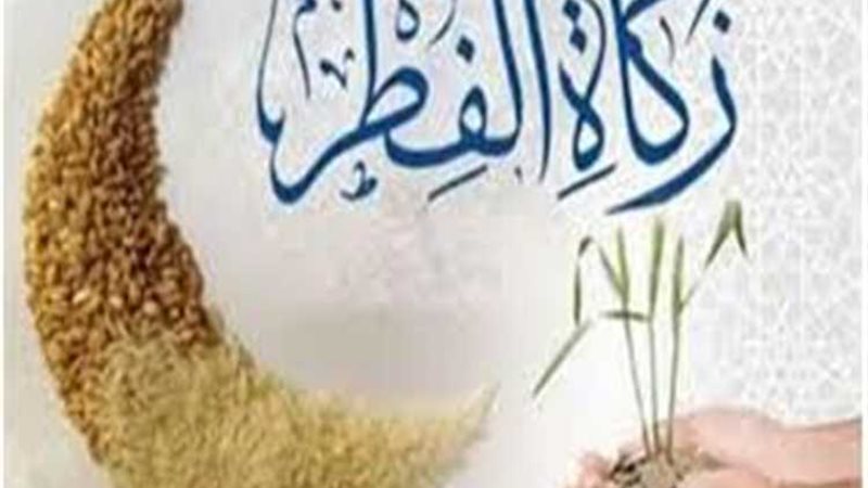 عالم الطاقة