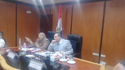 مشالى تزور شمال الدلتا للكهرباء