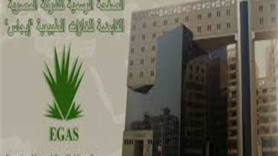 «إيجاس» تطرح 3 شحنات غاز مسال للتحميل في سبتمبر