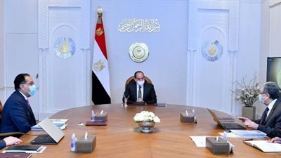 الرئيس السيسي يلتقي رئيس الوزراء ووزير الكهرباء لمتابعة مشروعات إنتاج الهيدروجين الأخضر