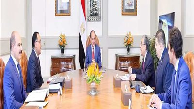 تفاصيل اجتماع رئيس الجمهورية مع وزير الكهرباء ورئيس «المحطات النووية»