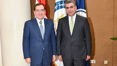 خلال الجمعية العامة.. د.محمد عبدالعزيز رئيس «البتروكيماويات المصرية»: 1.5 مليار جنيه مبيعات.. وخطة توسعات بـ300 مليون دولار