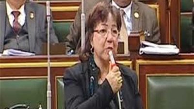 نائبة تتقدم بطلب إحاطة ضد وزيرى الكهرباء والتنمية المحلية