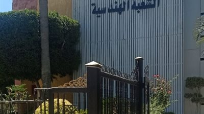 اجتماع موسع بين قيادات كهرباء الإسكندرية ومسئولى الهيئة الهندسية