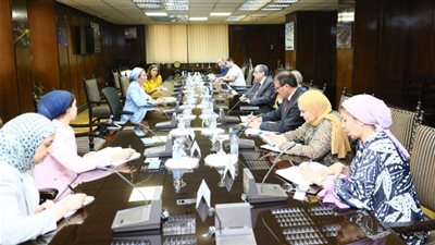 اجتماعات وزارية للتحضير لإستضافة مصر لمؤتمر المناخ COP 27