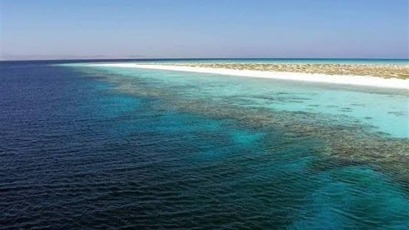 عالم الطاقة