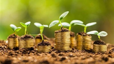 الصين تشهد نموا سريعا للقروض الخضراء