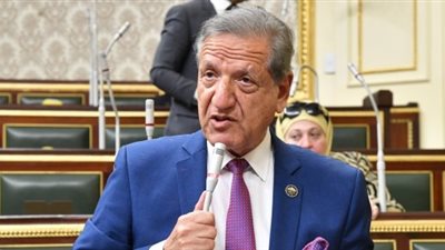 رئيس «خطة النواب»: الدولة تسعى لاستثمار الغاز الطبيعي بإجراءات ترشيد الكهرباء