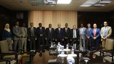 وزير الكهرباء يلتقى نظيره الجيبوتي لبحث التعاون بين الطرفين