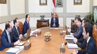 تفاصيل اجتماع الرئيس السيسي بوزيري البترول والكهرباء