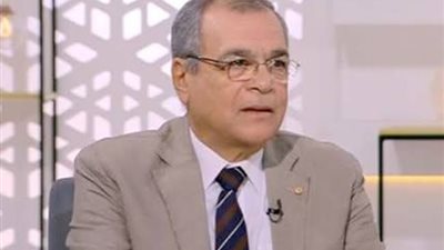 مدحت يوسف: الغاز المسال ليس بديلا للغاز الروسي الذي يأتي عبر الأنابيب