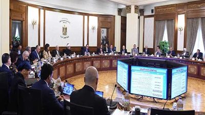 الوزراء يقرر إلغاء هيئة المحطات المائية لتوليد الكهرباء