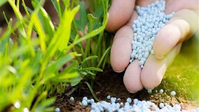 الأحد..  قوانين «الثروة الخضراء» لمواجهة الأسمدة والهرمونات الكيميائية أمام  «النواب»