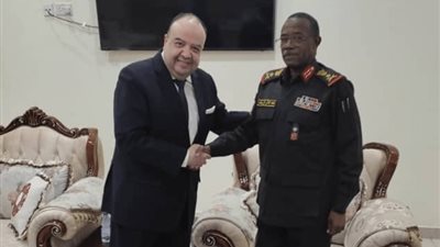 مصر تقرر زيادة طاقة الكهرباء المصدرة للسودان إلى 300 ميجاوات