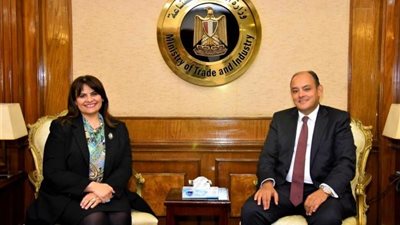 وزيرا الصناعة والهجرة يبحثان إنشاء شركة مساهمة للمصريين بالخارج