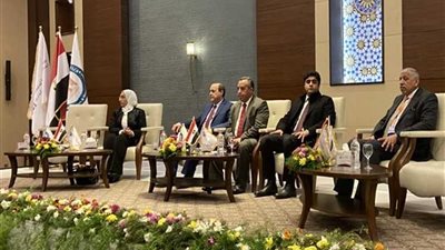 بالصور.. بدء جلسة التشاور المجتمعي لمشروع الرصيف والجسر البحري بالمكس بالإسكندرية