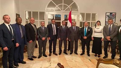 صورة تذكارية لوزير الكهرباء مع الوفد المصرى بالكونغو