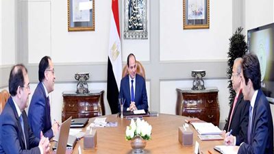 الرئيس السيسي يوجه بتطوير صناعة البتروكيماويات