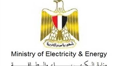 على عبد الفتاح:4 ملايين و966 ألف شكوى تم تلقيها من المواطنين خلال 8 سنوات