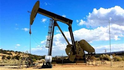 حصرى .. ننفرد بنشر الشركات المتقدمة بعروض لشراء حصة شل بالصحراء الغربية