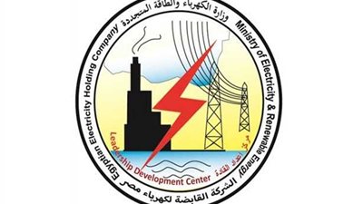 رسميا..مصر الوسطى للكهرباء تسجل أولى ضحايا العاصفة الشيطانية