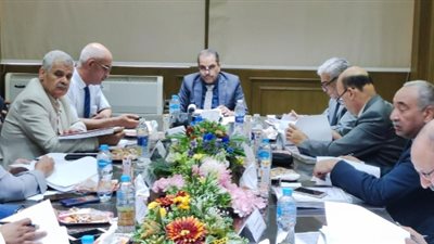 رئيس مصر الوسطى للكهرباء يصدر قرارين بترقية نائب ورئيس قطاع بالشركة