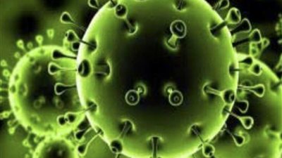 دراسات.. عودة كورونا لـ14% من المتعافين في  ووهان