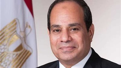 الرئيس السيسي: العلاوة الدورية للمعاشات 14% اعتبارا من العام المالى القادم