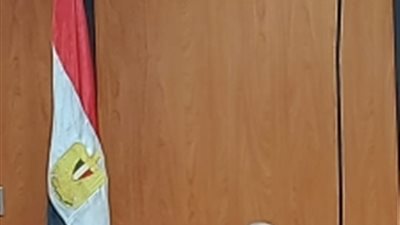 بالفيديو كونفرانس..رئيس شمال الدلتا للكهرباء يتابع سير العمل واللجان المختلفة مع قيادات الشركة