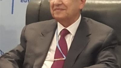 ننشر كلمة وزير الكهرباء في فعاليات افتتاح يوم الطاقة بمؤتمر أطراف اتفاقية المناخ