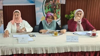 ندوة توعوية بمركز إعلام الجمرك بمحافظة الإسكندرية عن «آليات ترشيد استهلاك الكهرباء»