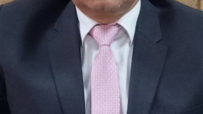 محمد سلامة مساعدا لرئيس 