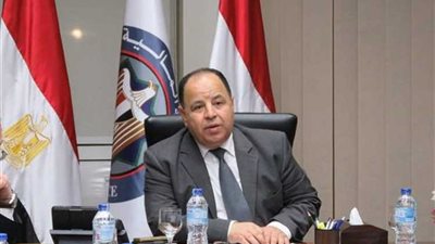 وزير المالية: ندرس الاستفادة من هبوط البترول والتكلفة والطاقة التخزينية ضمن العوامل
