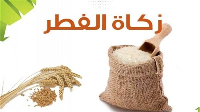 عالم الطاقة