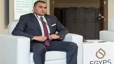 د.أحمد سلطان يكتب: سد النهضة والنكسات العربية