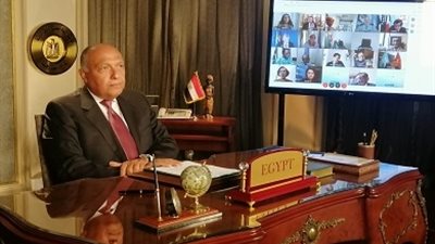 الدفاع عن البقاء ليس اختيار.. أبرز رسائل وزير الخارجية بشأن سد النهضة أمام مجلس الأمن