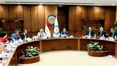 وزيرا البترول والبيئة يبحثان جهود التوافق البيئى لشركات البترول بمحافظتى السويس والبحر الأحمر