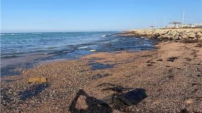 لجنة بيئية لتحديد مصدر التلوث البترولى برأس غارب