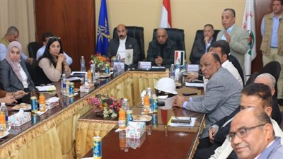 وزير قطاع الأعمال العام ومحافظ أسوان في جولة تفقدية بشركة كيما للأسمدة