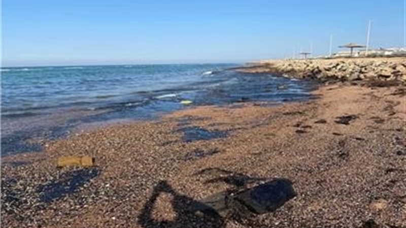 عالم الطاقة