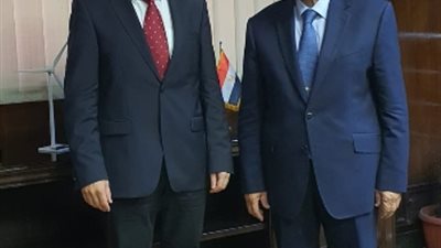 وزير الكهرباء يلتقى سفير المجر الجديد لبحث مجالات التعاون