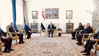 الرئيس السيسي يبحث مع نائب رئيس الوزراء الإيطالي التعاون في مجال الغاز