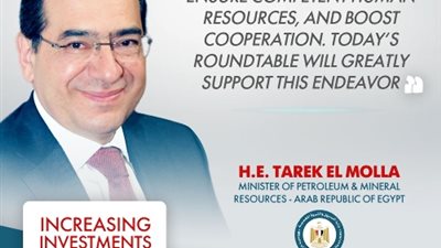 الملا: الطريق لايزال طويلاً لتحقيق تطلعات الشعب المصري في مستقبل أفضل
